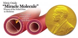 NO miracle molecule